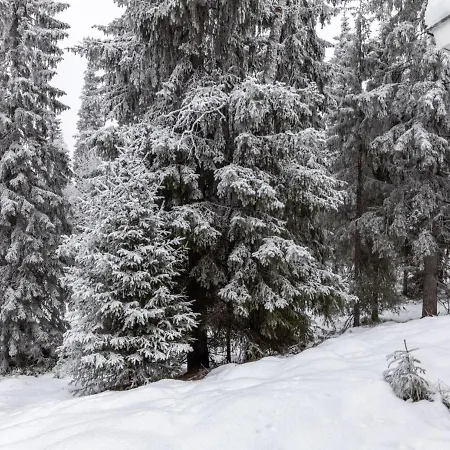 Rukan Ankkuri By Interhome * Rukatunturi