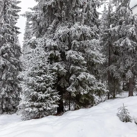 Rukan Ankkuri By Interhome Сasa de vacaciones